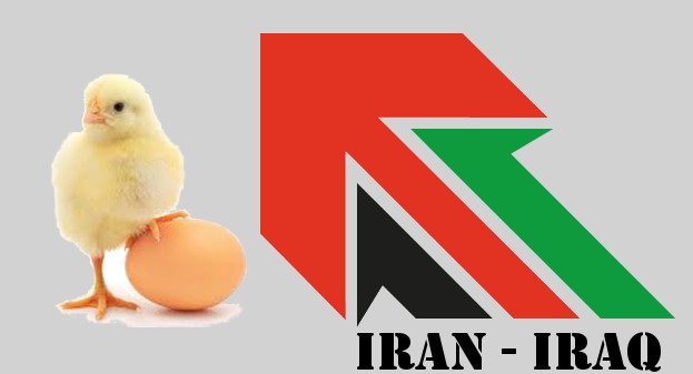 رفع ممنوعیت صادرات مرغ و تخم مرغ به کشور عراق